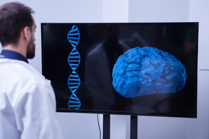 young-radiologist-analysing-a-healthy-brain_700x467 young-radiologist-analysing-a-healthy-brain_700x467